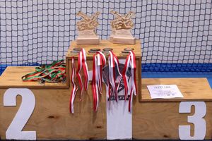 Zdjęcie przedstawia puchary oraz medale.